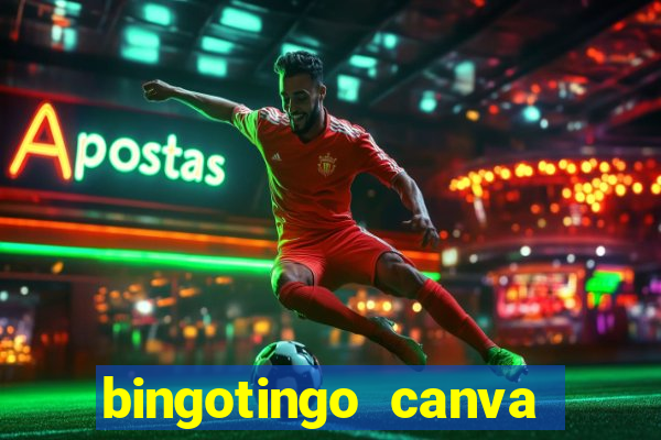 bingotingo canva pro gratis